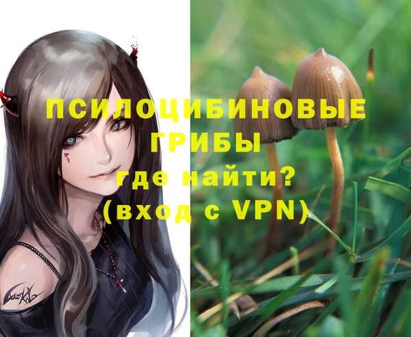 стаф Алексин