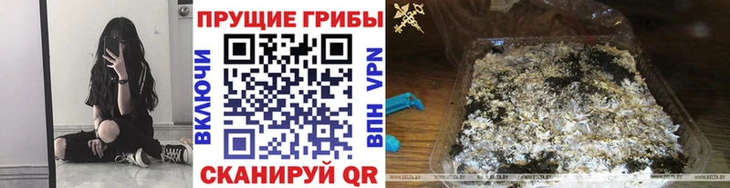 магазин  наркотиков  Новошахтинск  Галлюциногенные грибы прущие грибы 