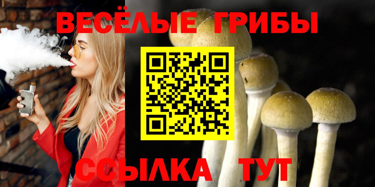 Новошахтинск  как найти наркотики  Вход с VPN  Псилоцибиновые грибы Psilocybine cubensis 