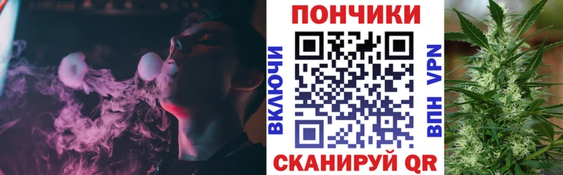 где купить   Новошахтинск  Бошки Шишки сатива 