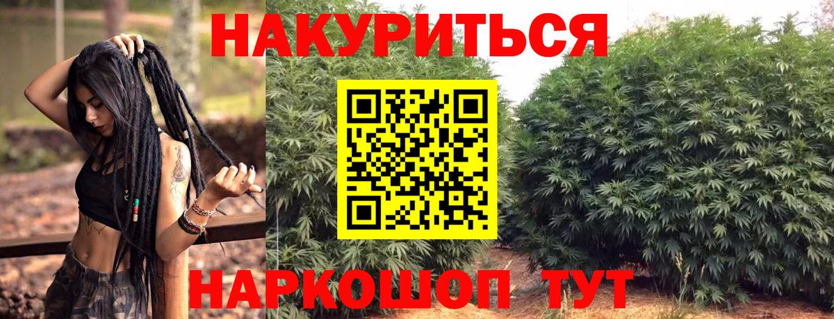 Бошки марихуана SATIVA & INDICA Новошахтинск